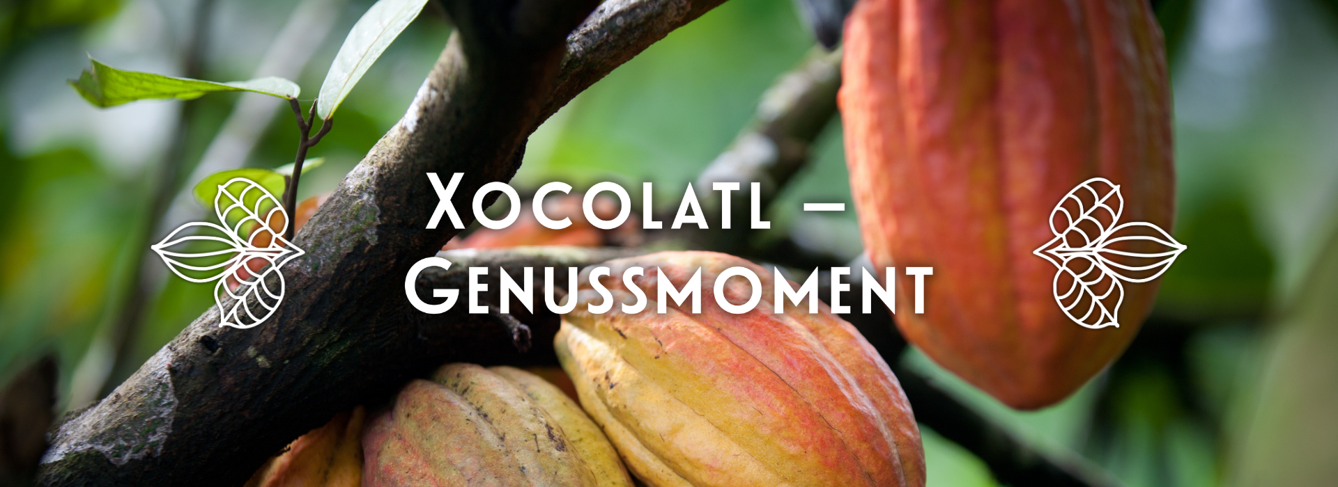 Xocolatl – Genussmoment